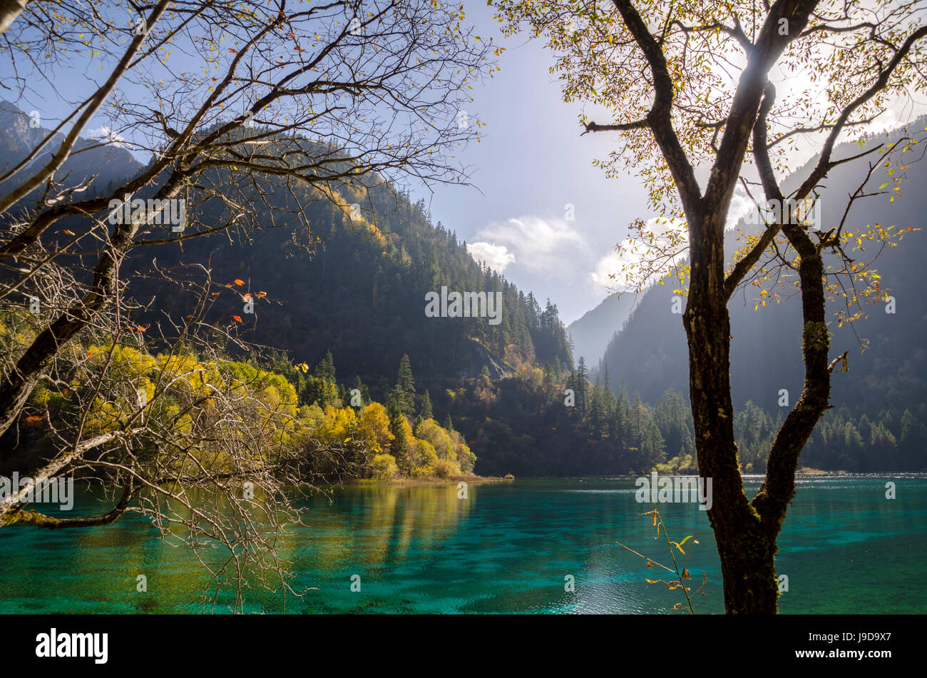 Lago de 5 Flores, municipio Valle de Jiuzhaigou (nueve), Sitio de Patrimonio Mundial de la UNESCO, en la provincia de Sichuan, China, Asia Foto de stock