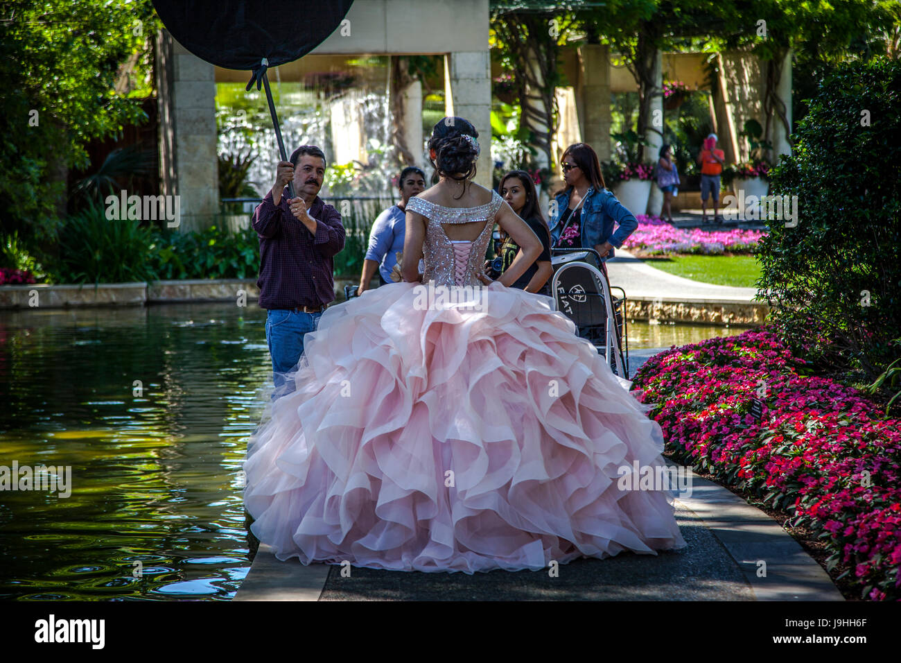 Niña vestidos para la Quinceañera o de membrillo, la celebración del 15º  cumpleaños de una niña en el Arboreto en Dallas, Texas Fotografía de stock  - Alamy