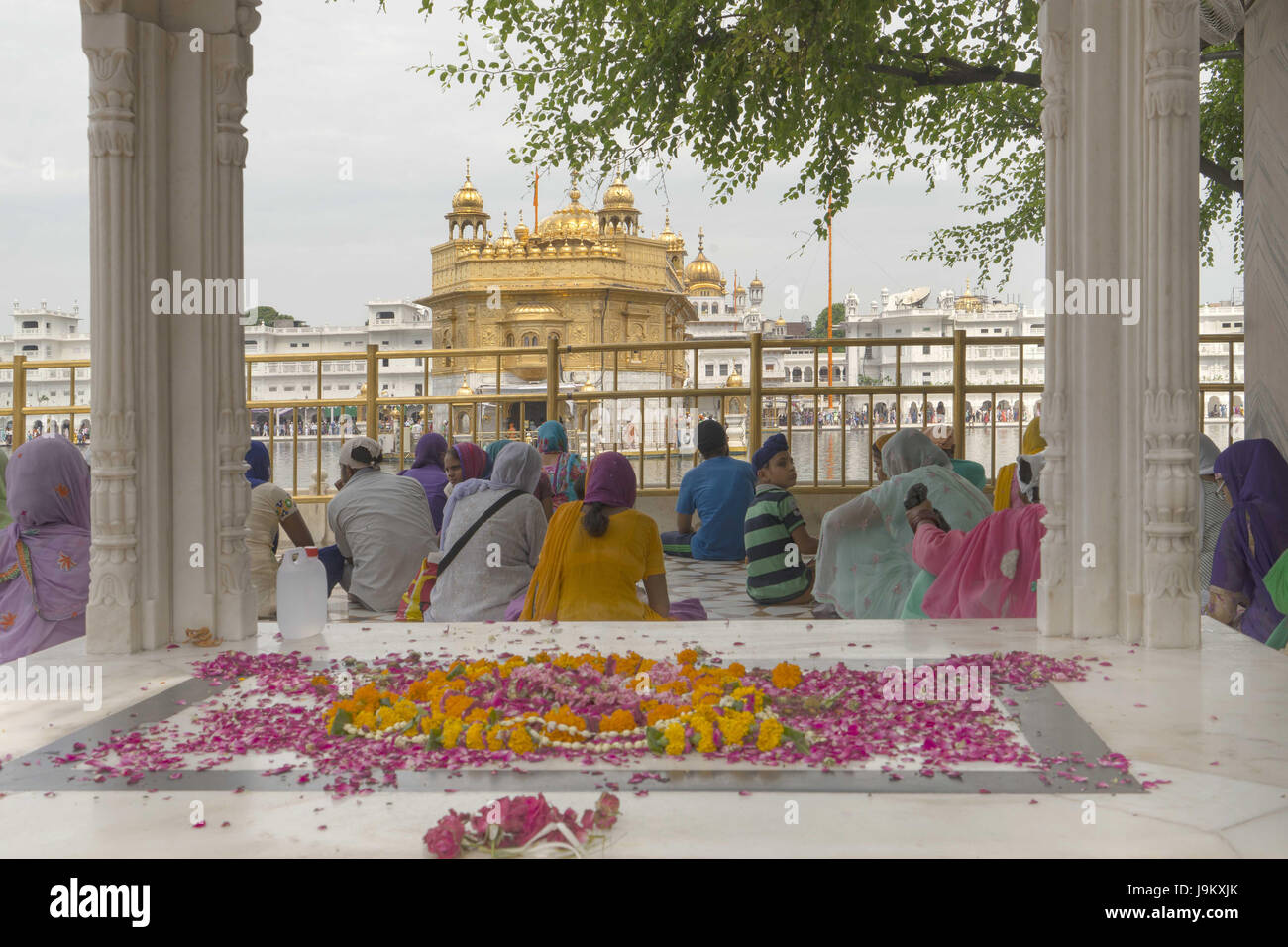 Devoto en el Templo de Oro de Amritsar, Punjab, India, Asia Foto de stock