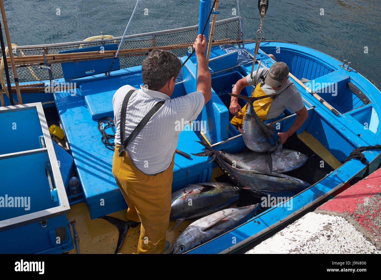 Los pescadores descargando una captura de atún en Los Abrigos, Tenerife, Islas Canarias, España. Foto de stock