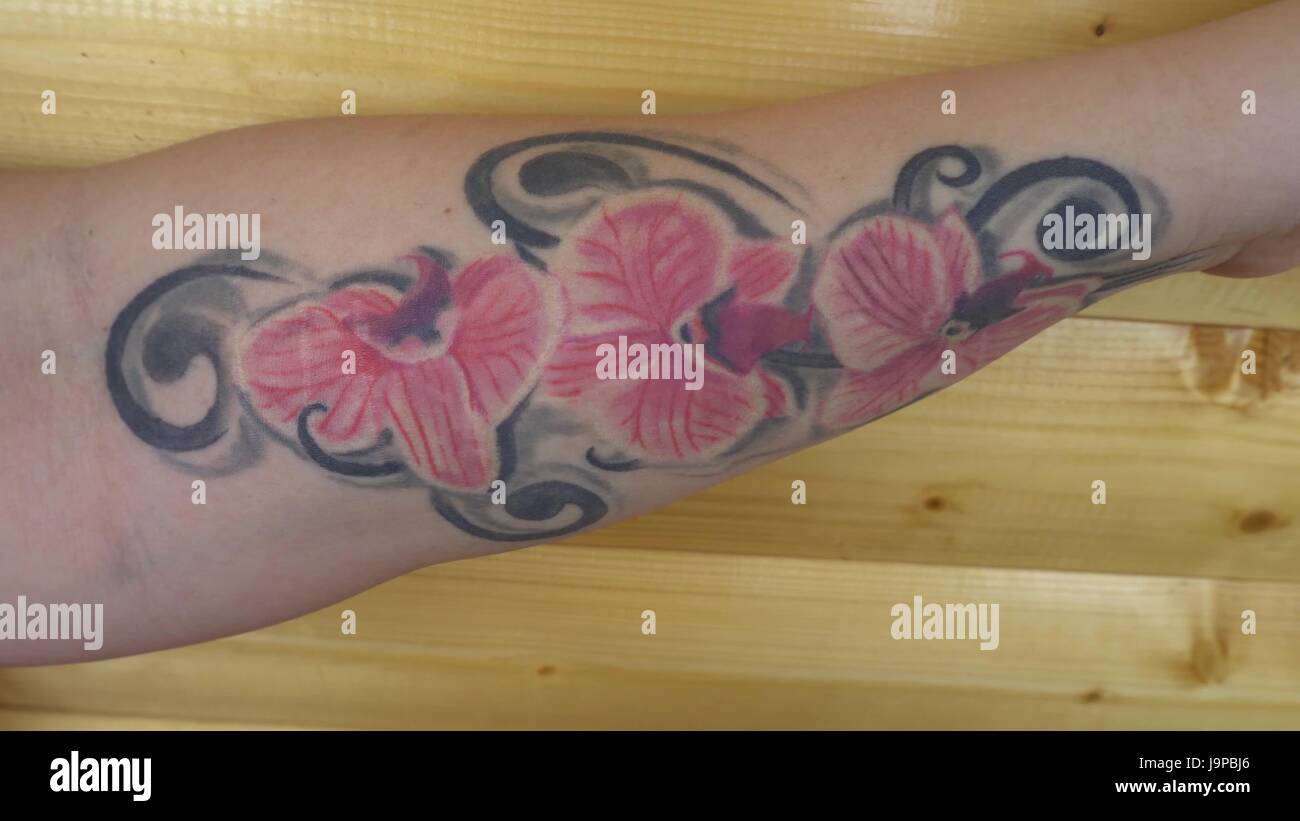 La chica se muestra la cámara un tatuaje de orquídeas en la mano Fotografía  de stock - Alamy