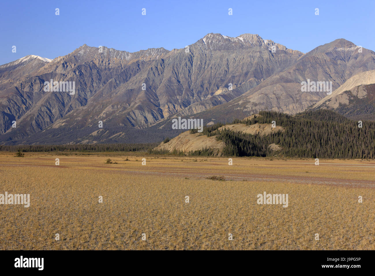 América del Norte, Canadá,Yukon Territory,Kluane National Park,San de