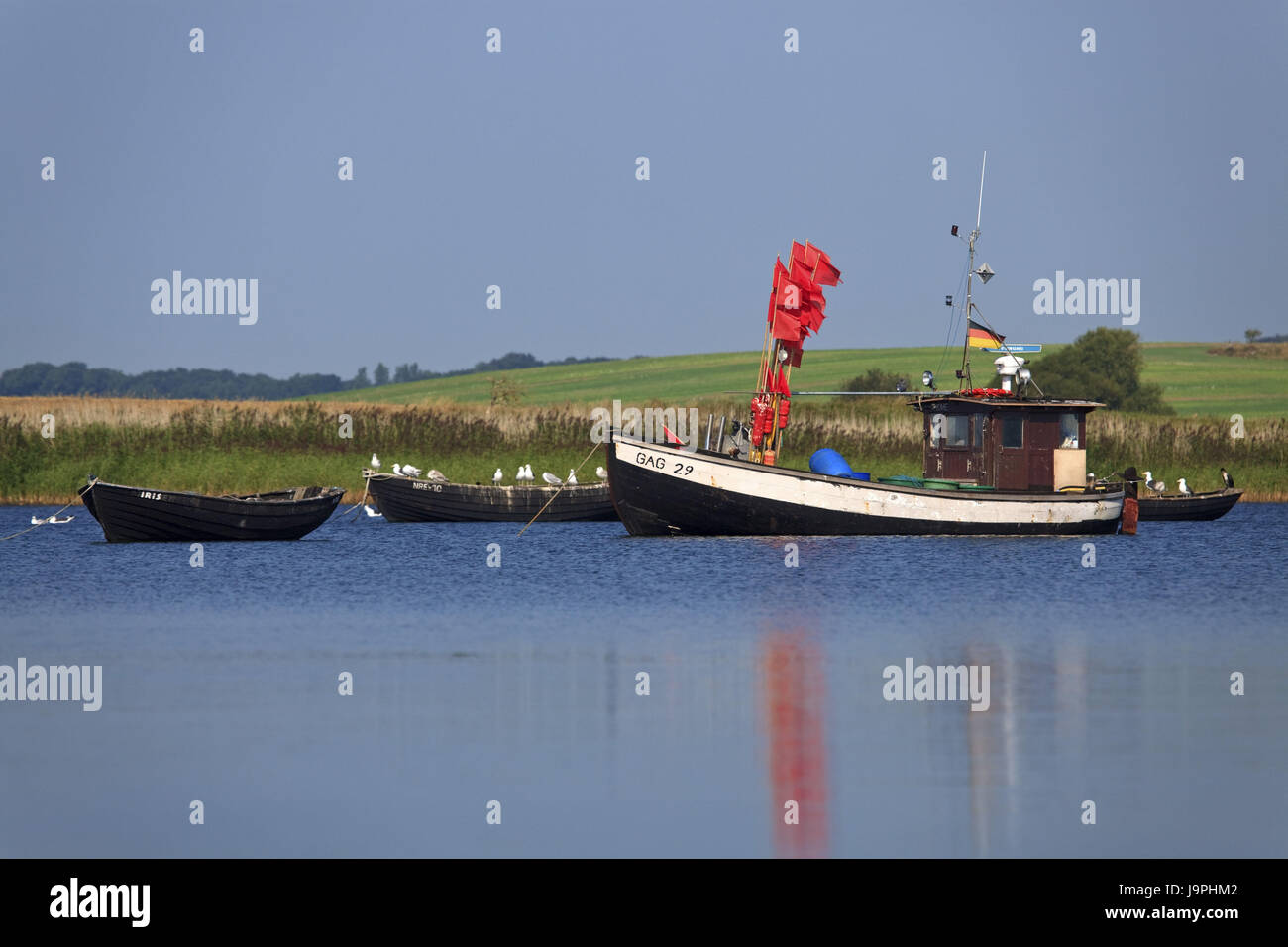 Alemania,Mecklenburg-West Pomerania,el Mar Báltico,isla Rügen,nuevamente Reddevitz,barcos de pesca, Foto de stock