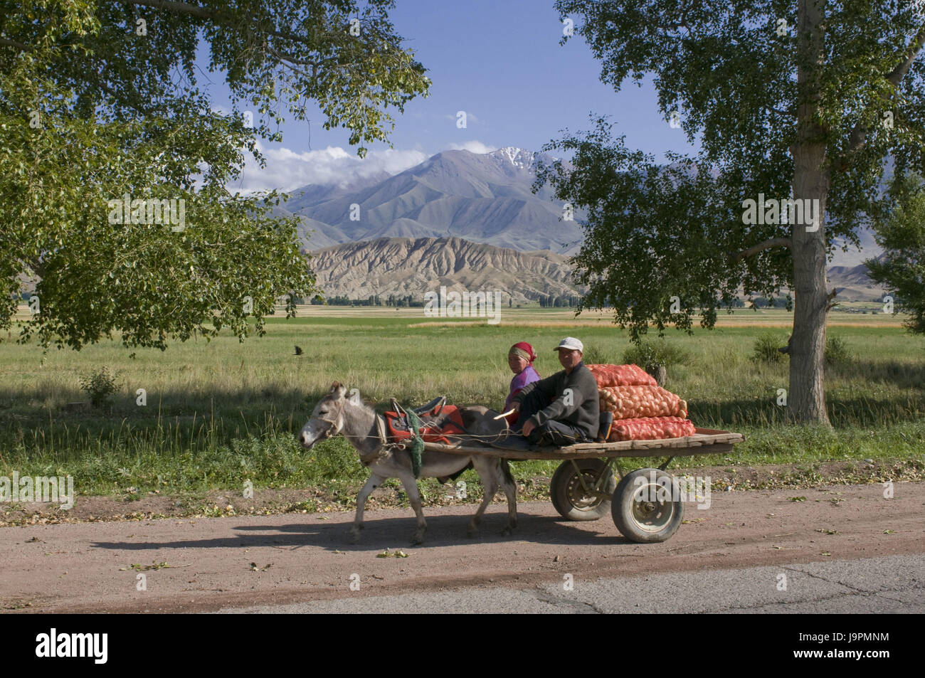 Carro de burro con peones,entre Bishkek y canción,Köl Kirghizistán, Foto de stock
