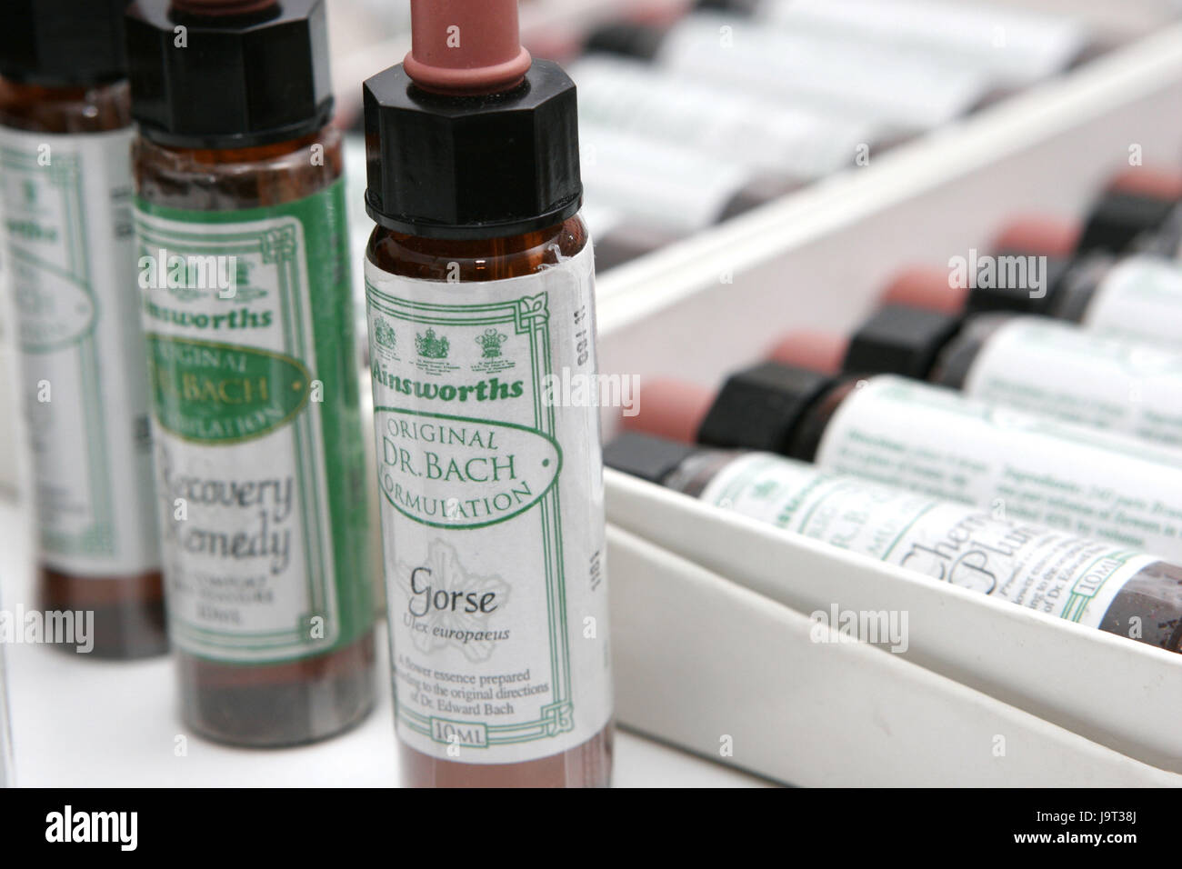 La homeopatía,brook Flor Essence, Foto de stock
