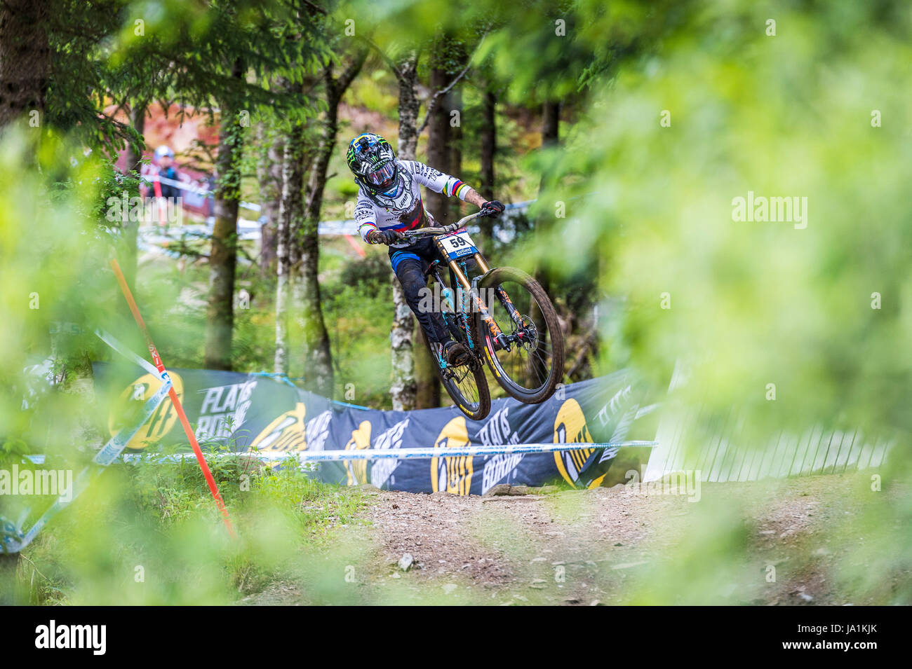 Fort William, en Escocia, Reino Unido el 4 de junio de 2017 REINO UNIDO Deporte: El actual Campeón del Mundo Danny Hart sólo podrían mange 59º lugar después de tomar una caída masiva de los bosques durante su carrera de ejecutar en el Fort William UCI Copa del Mundo de Mountain Bike. Rubén Tabner crédito/Alamy Live News Foto de stock