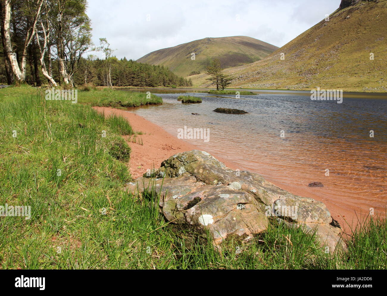 Park, ángulo, pescado, Irlanda, reserva natural, el bosque, el clima, la relajación, Foto de stock
