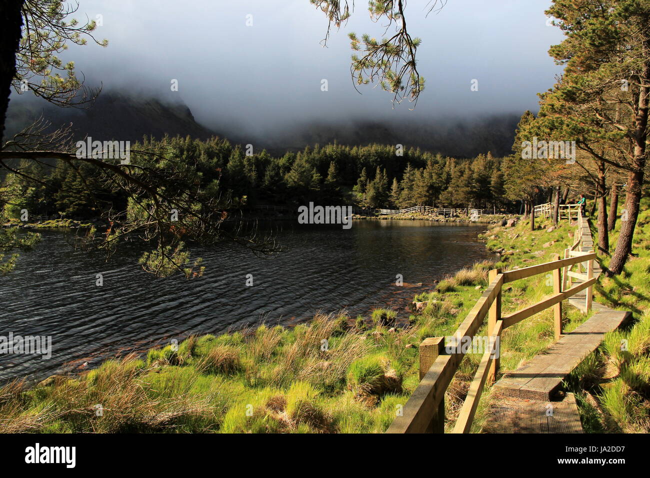 Park, ángulo, pescado, Irlanda, reserva natural, el bosque, el clima, la relajación, Foto de stock