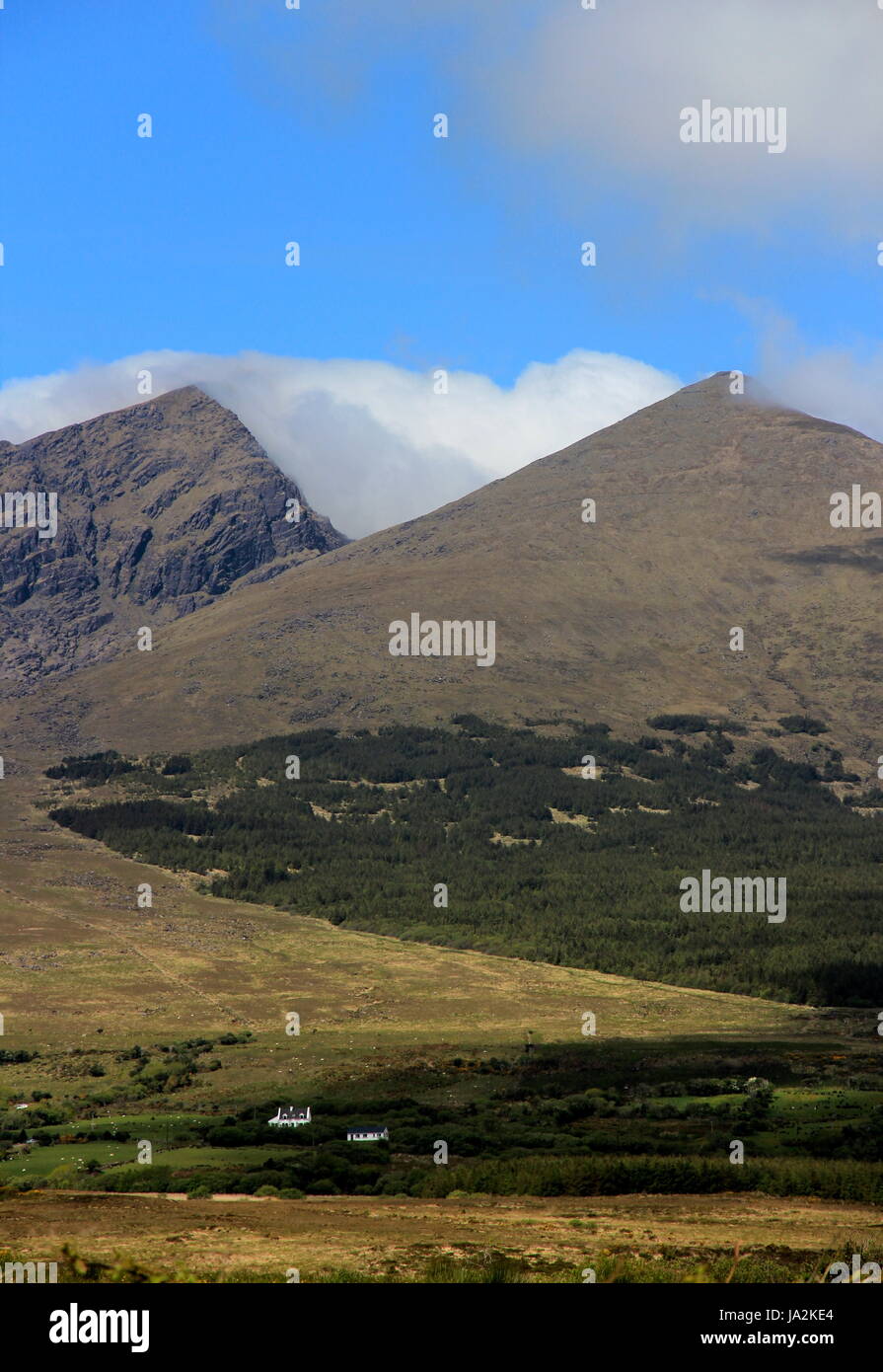 Cloud, sugerencia, pico, brusco, Irlanda, montaña, pradera, hierba, césped, verde Foto de stock