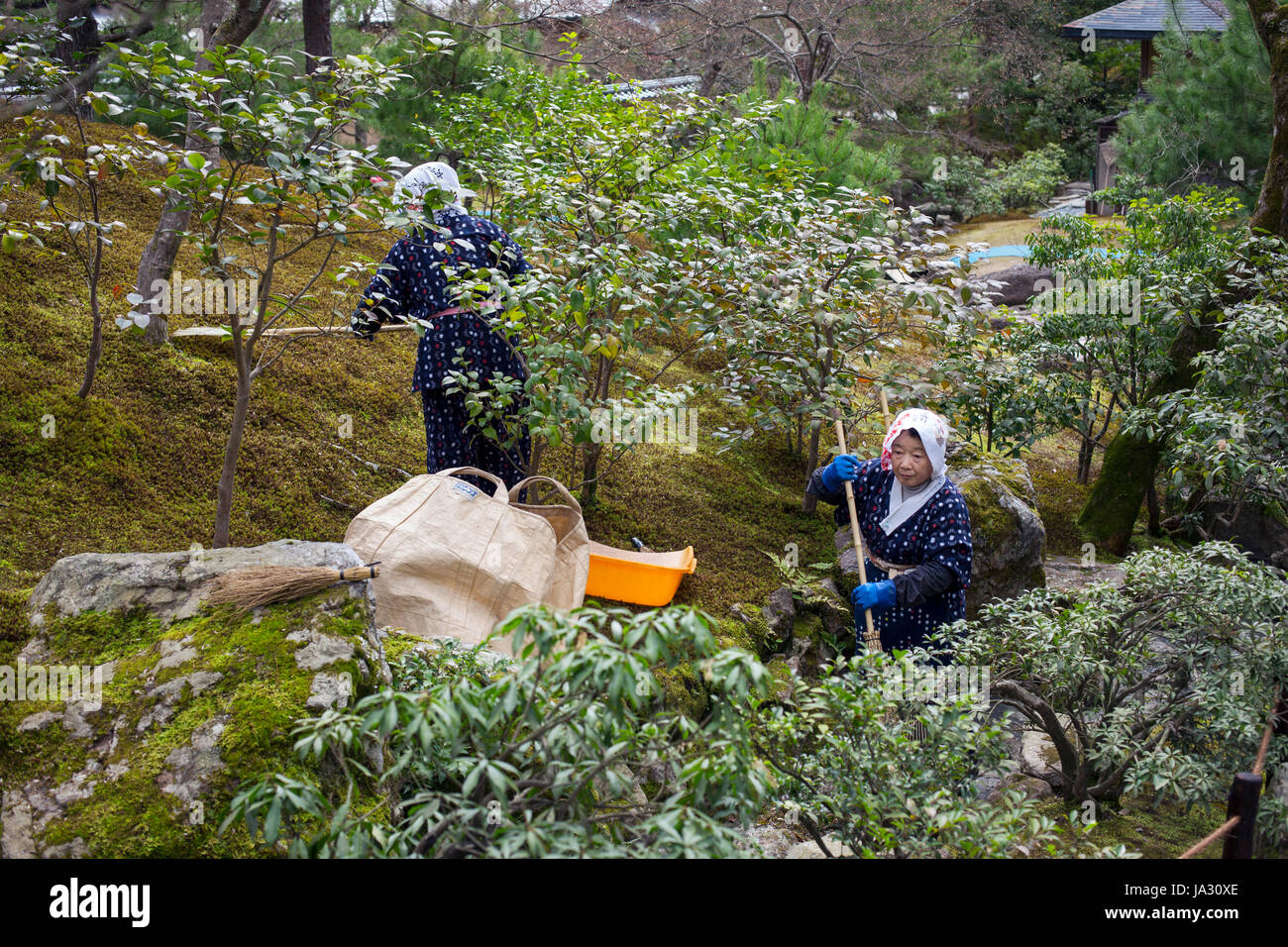 Kyoto, Japón, Marzo 19, 2012: Dos mujeres de jardineros en trajes tradicionales ordenados los jardines formales en el Kinkaku-ji, en Kyoto, Japón Foto de stock