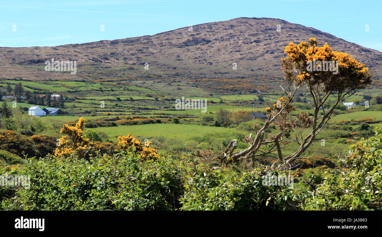 Sol en la cabeza mizen,Irlanda Foto de stock
