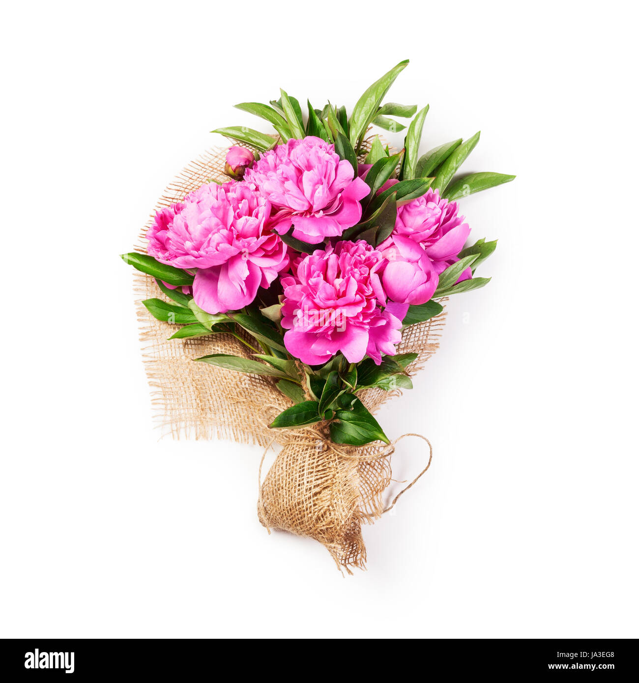Rosa peonía bouquet de flores con tela de arpillera del yute. Único objeto aislado sobre fondo blanco. Arreglos florales Foto de stock