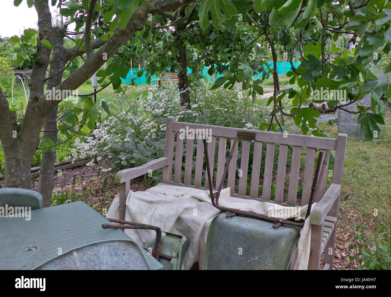 Jardín habilitaciones político usado por Jeremy Corbyn MP en East Finchley, Londres, Inglaterra, Reino Unido Foto de stock