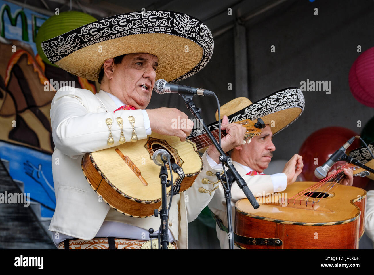 La cantante mexicana, mariachi, músico tocando una guitarra, vihuela  mexicana y cantando en un festival que celebra los sonidos, cultura y  música de México, el cantante masculino, ejecutante de música tradicional  mexicana,