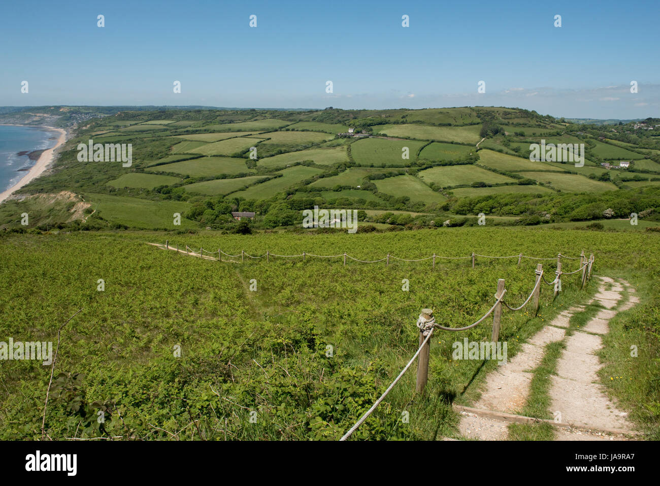 Vista desde el Golden Cap mirando atrás a Stonebarrow Hill y la costa de la Bahía de Lyme en Charmouth en un día de verano temprano en mayo Foto de stock