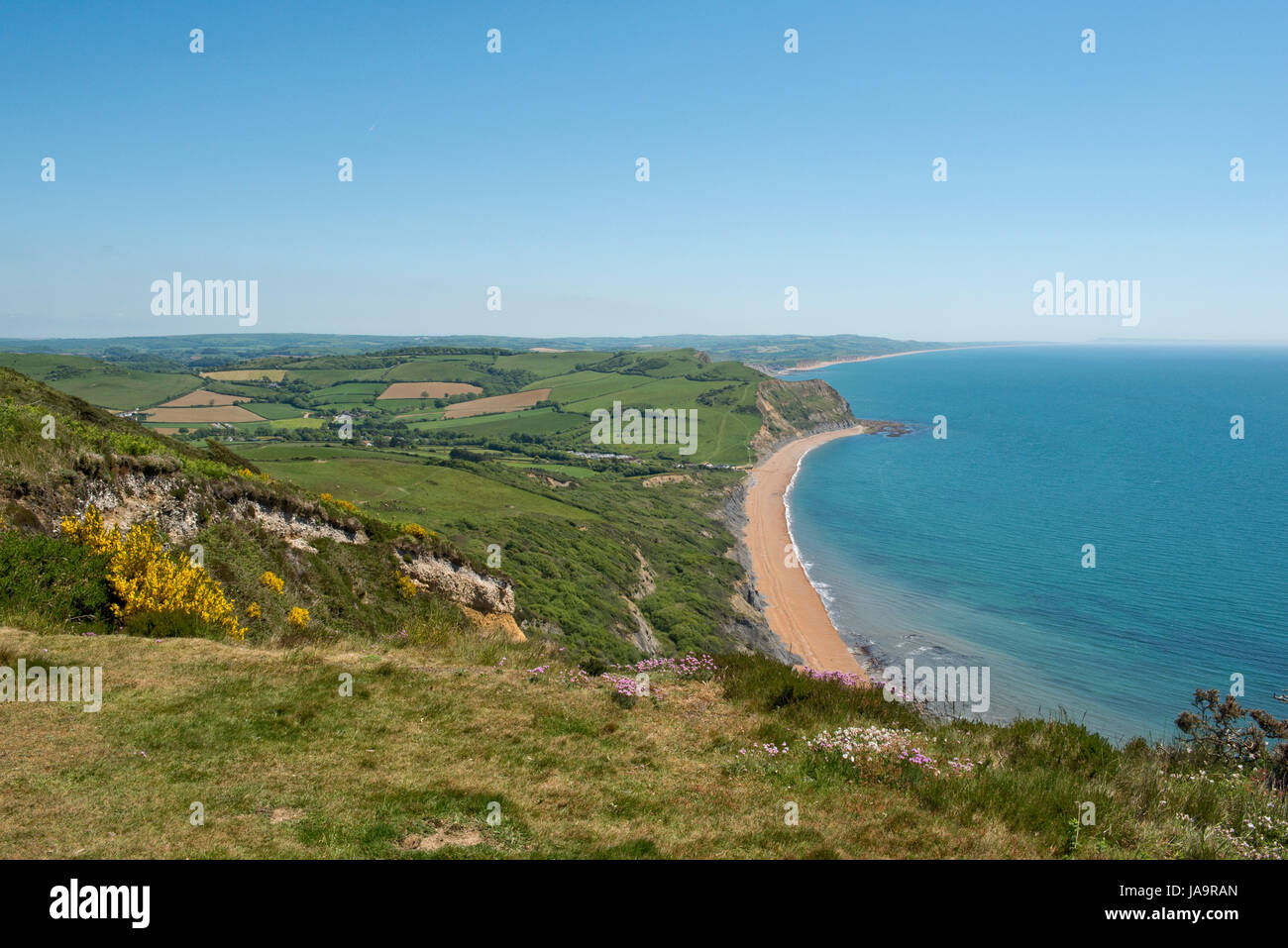 Vista desde la parte superior de la tapa de Oro, el pico más alto de la costa sur, mirando hacia el este a lo largo de la Costa Jurásica Seaton pasó a West Bay, Dorset, Mayo Foto de stock