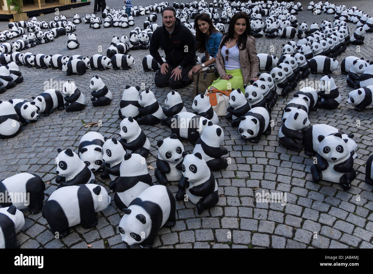 El Fondo Mundial para la Naturaleza (WWF) señala a la atención el panda  gigante en peligro de extinción con una acción en la ciudad de Kiel  Fotografía de stock - Alamy