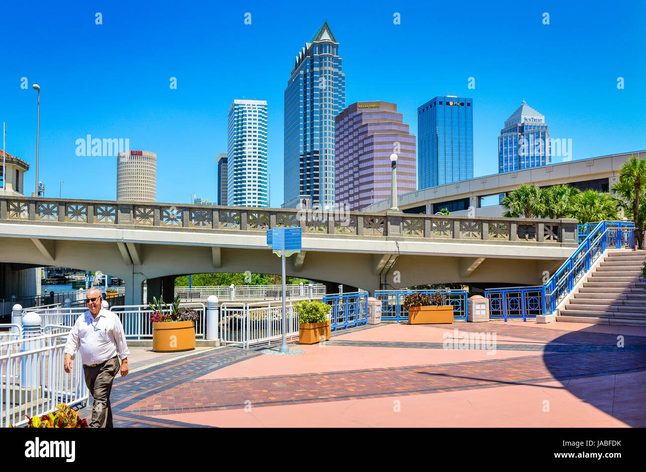 Impresionante paisaje urbano de edificios de oficinas moderno visto desde el Centro de Convenciones de Tampa con vistas al Puente Platt en el centro de Tampa, FL. Foto de stock