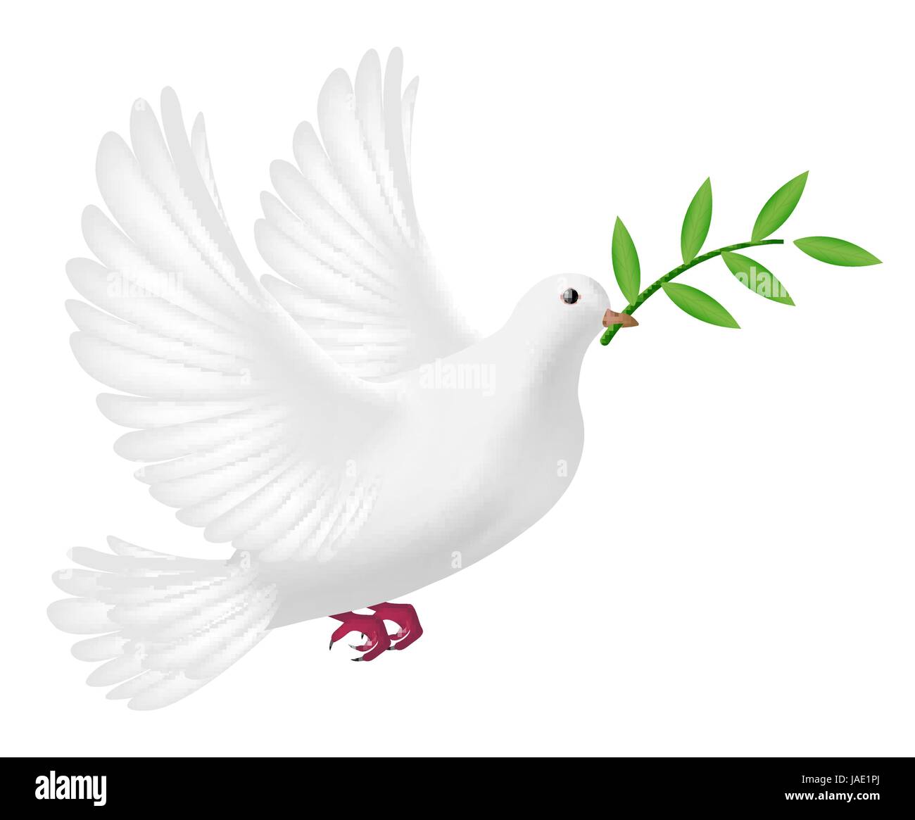 Paloma blanca volando fotografías e imágenes de alta resolución - Alamy