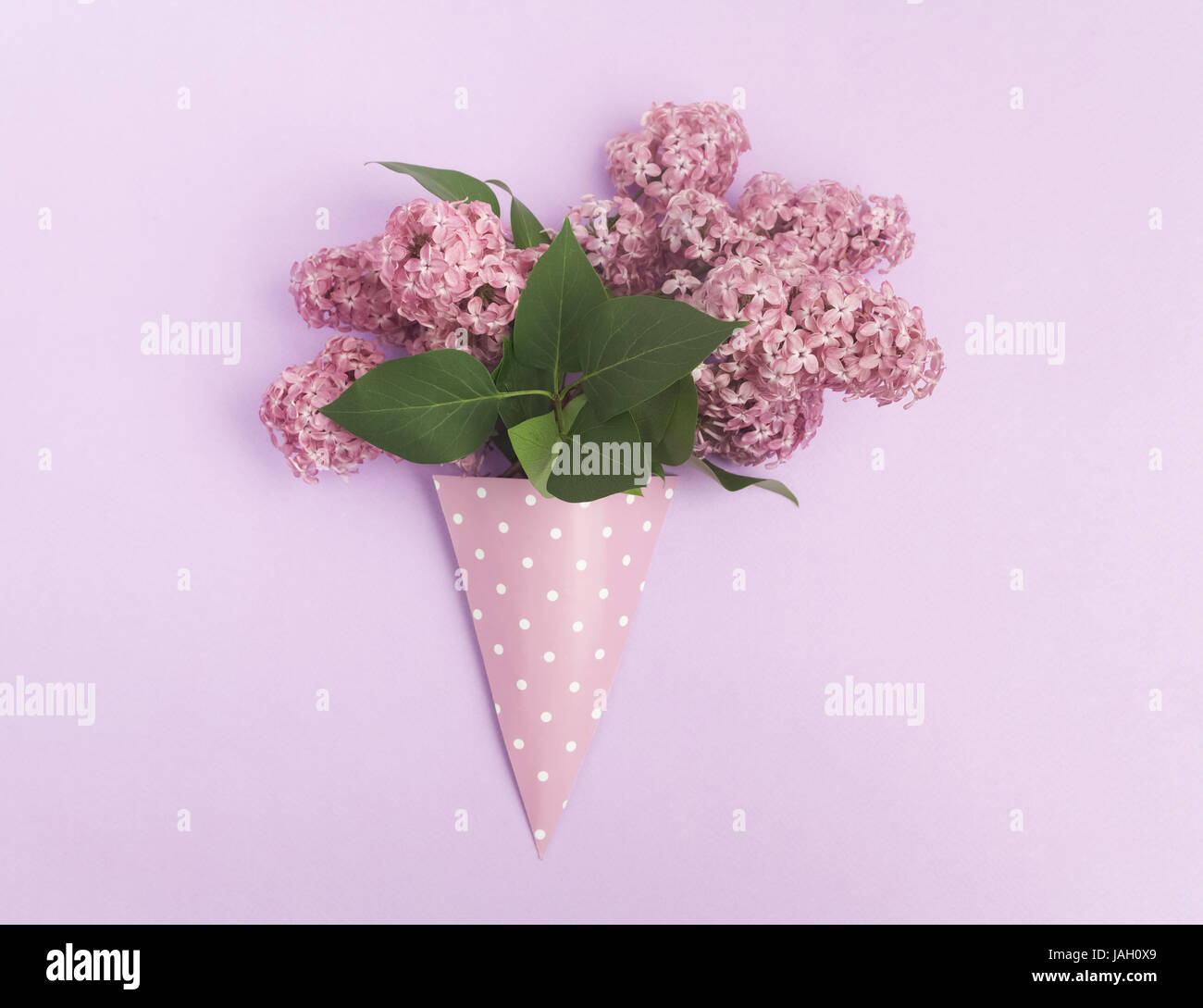 Ramo de flores de color lila en cono de papel sobre fondo púrpura desde arriba, diseñando laicos plana Foto de stock