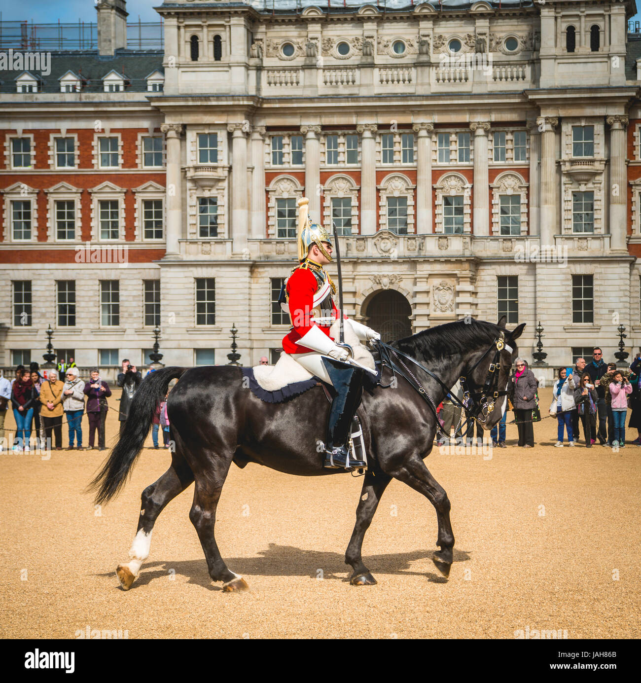 Cavalo Real não aguenta. #Guardareal #RoyalGuard #GuardiaReal