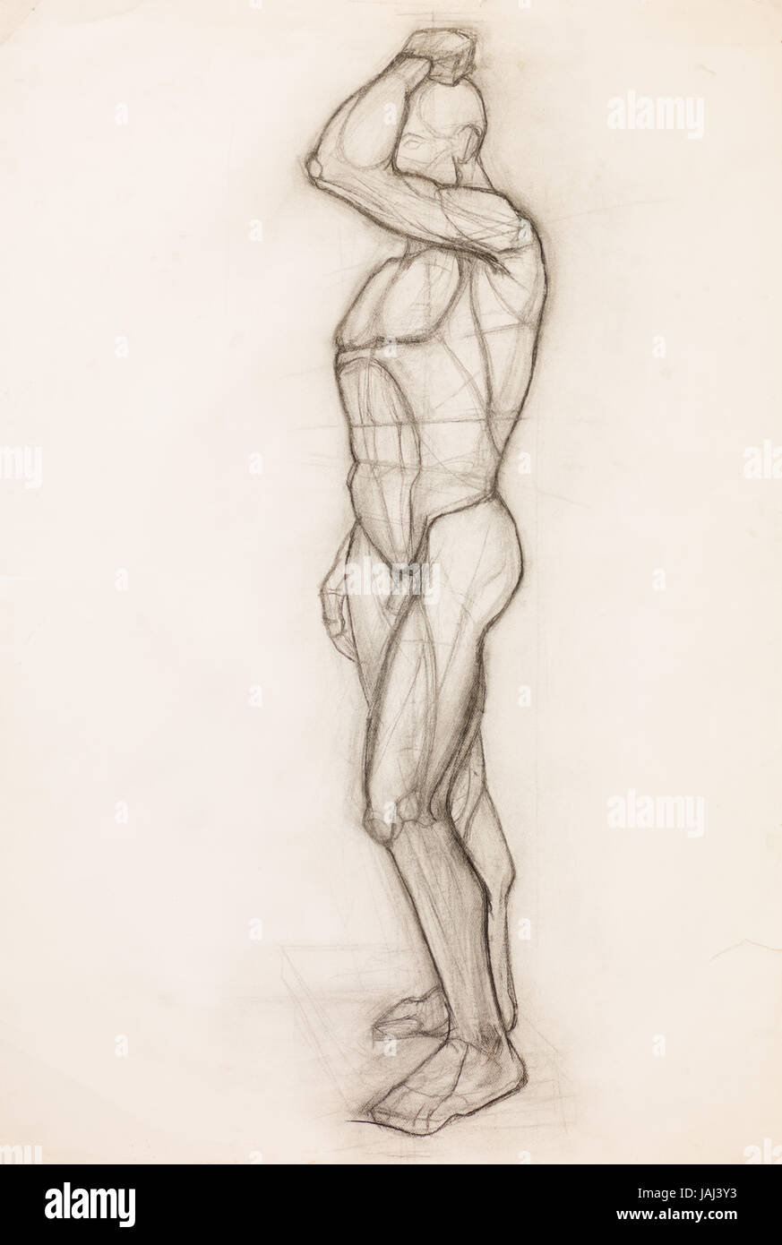 Dibujo a Lápiz dibujados a mano ilustrando los músculos del cuerpo humano  anatomía Fotografía de stock - Alamy