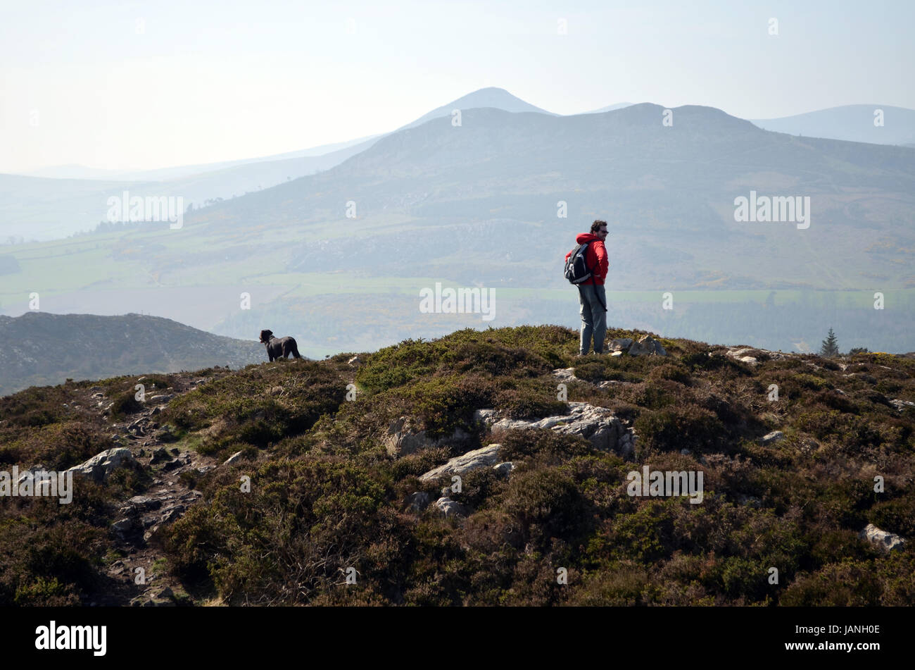 Hombre senderismo con un perro pastoral en Bray Head, Irlanda Foto de stock