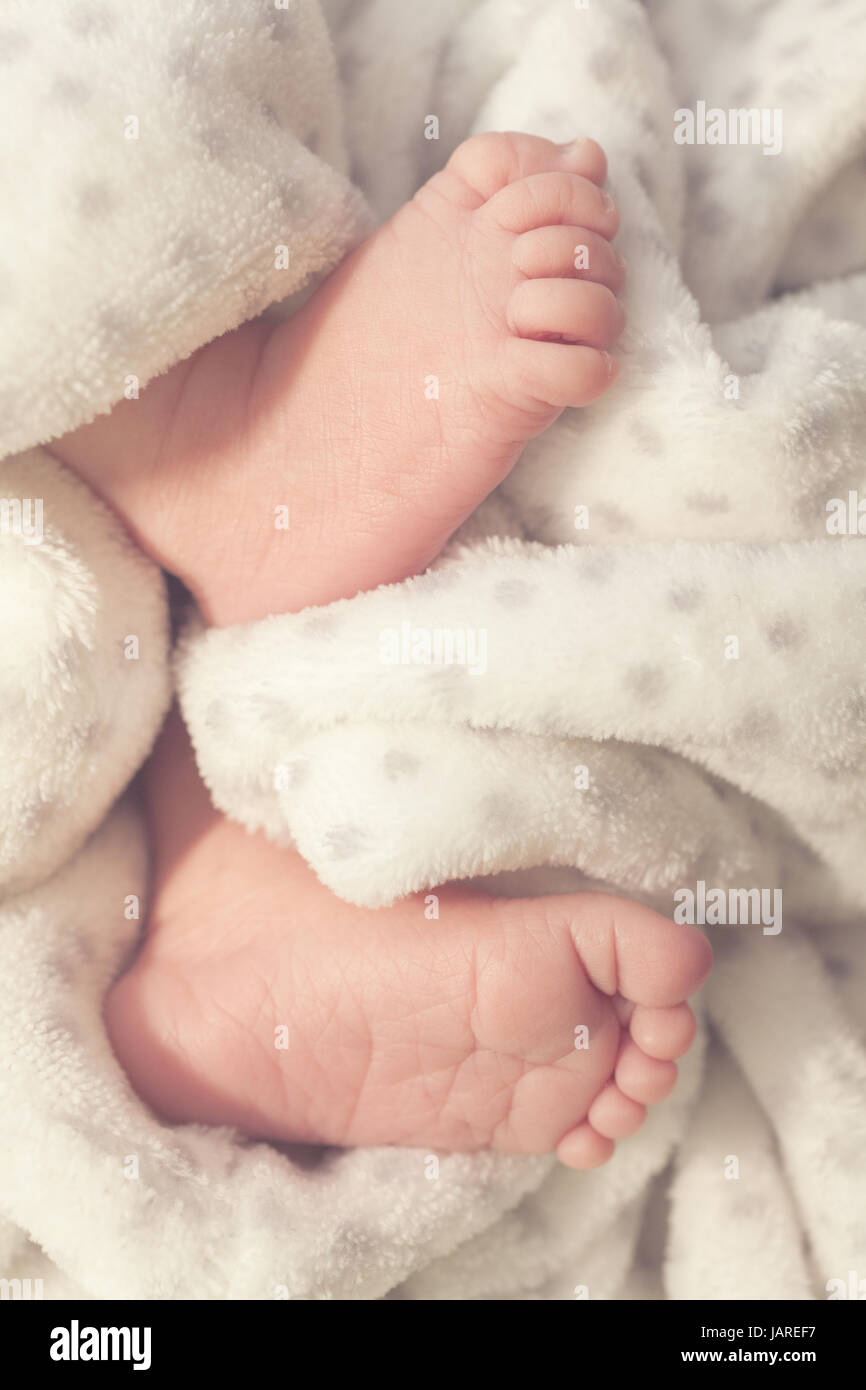 Los Pies De Un Bebé Recién Nacido Entre Una Mullida Manta Fotografía De Stock Alamy 