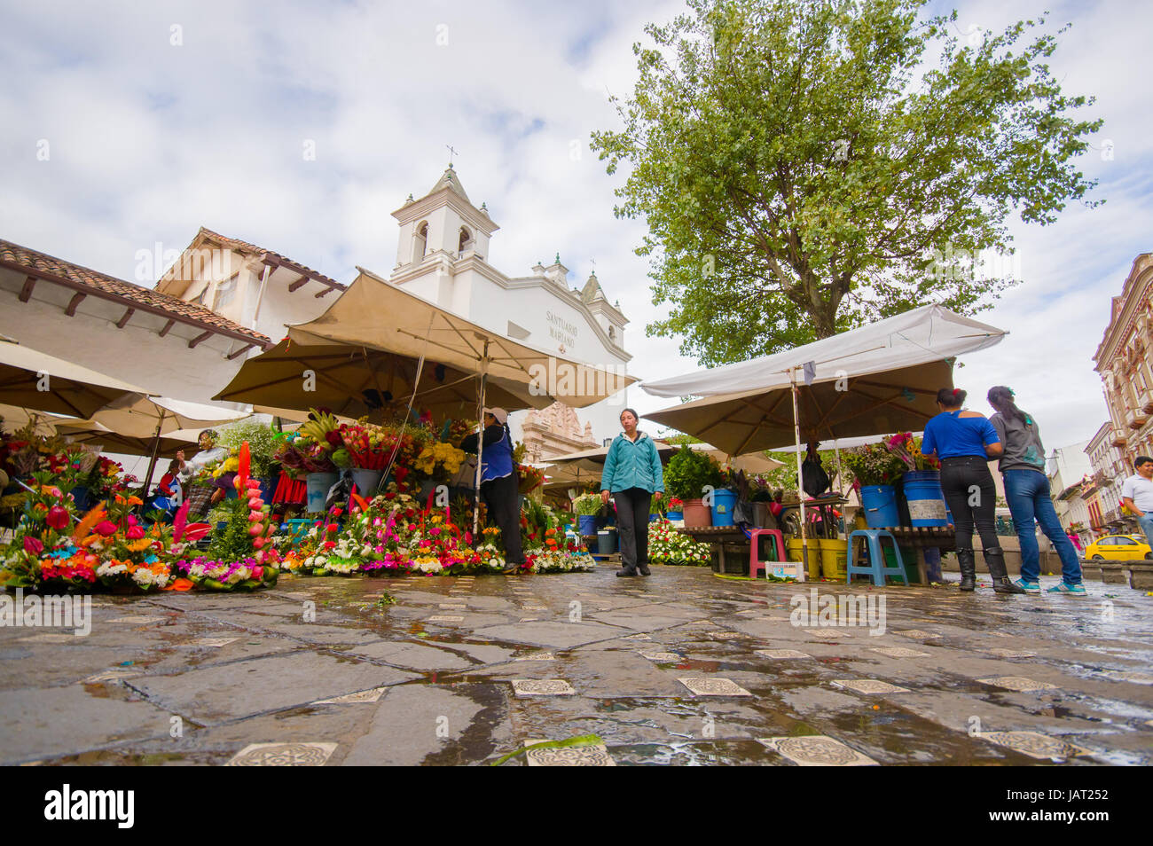 Cuenca, Ecuador - Abril 22, 2015: el famoso mercado de flores locales en la  plaza de la ciudad, situado junto a la catedral Fotografía de stock - Alamy
