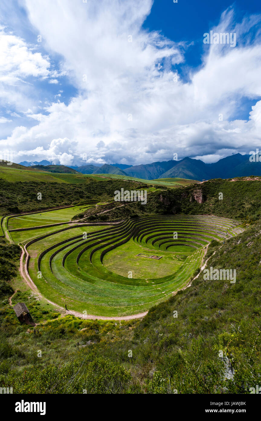 Un sitio Inca con muro de piedra de terrazas para el cultivo de cosechas agrícolas mediante la creación de microclimas. Foto de stock