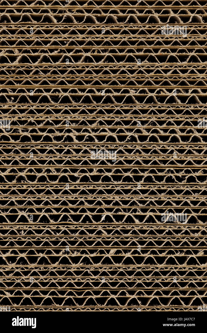 Hoja de papel Foto de stock