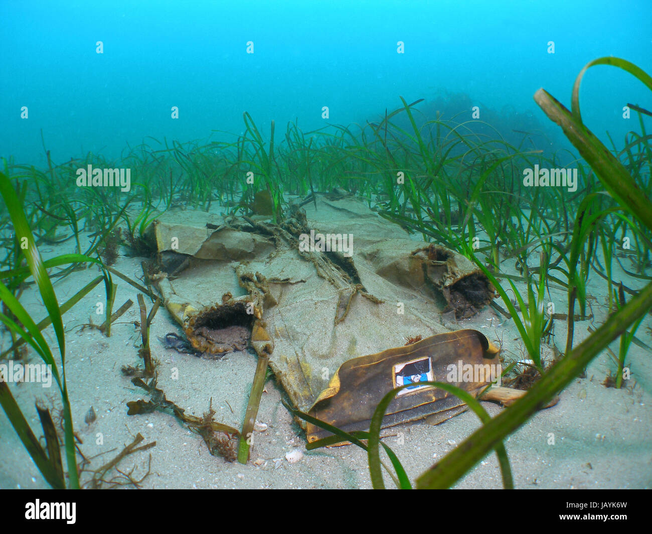 Los desechos marinos o desperdicios marinos en una pradera de hierba de mar Foto de stock