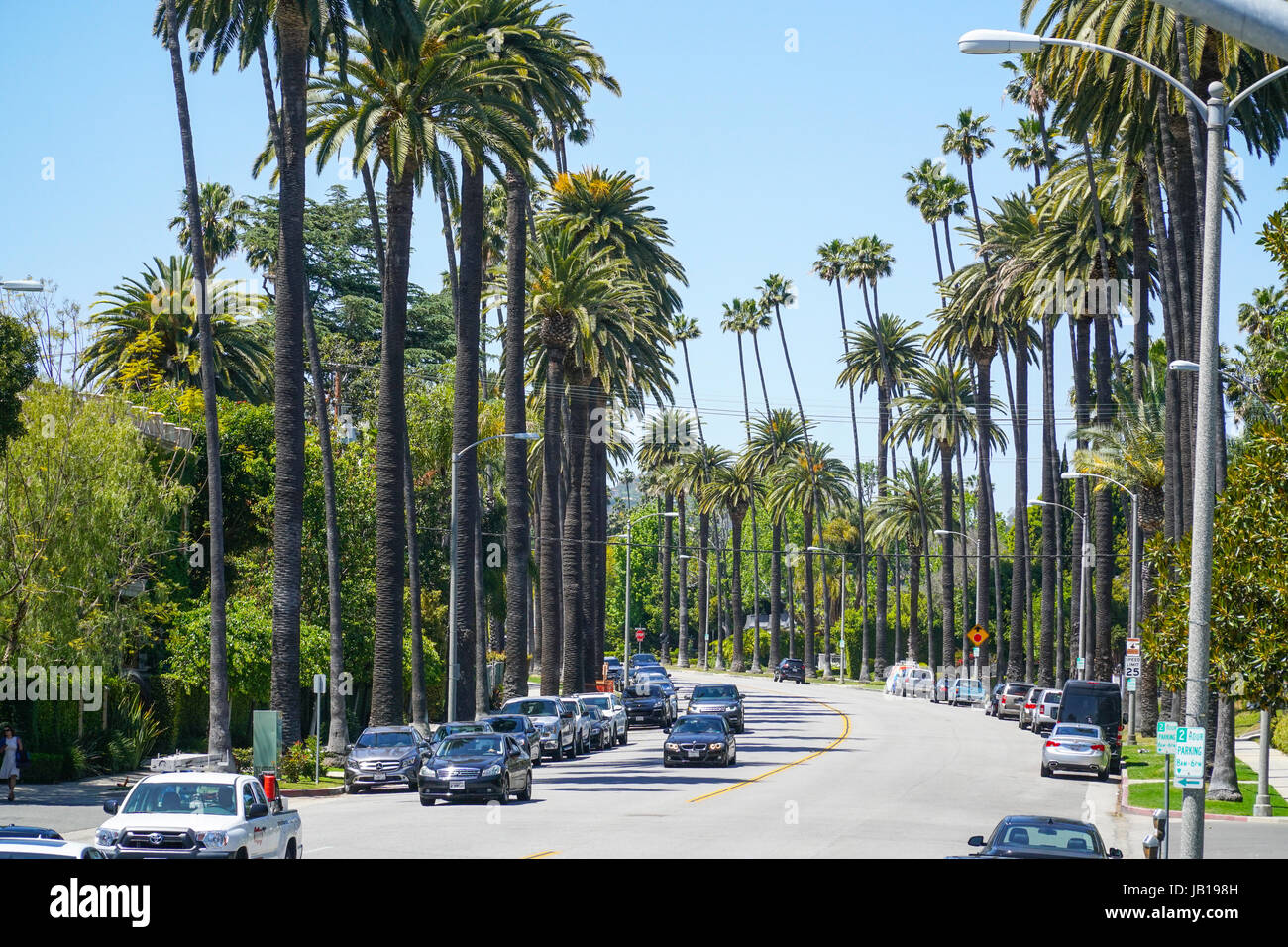 Hermosa vista de calle con palmeras en Beverly Hills, Los Angeles - California Foto de stock