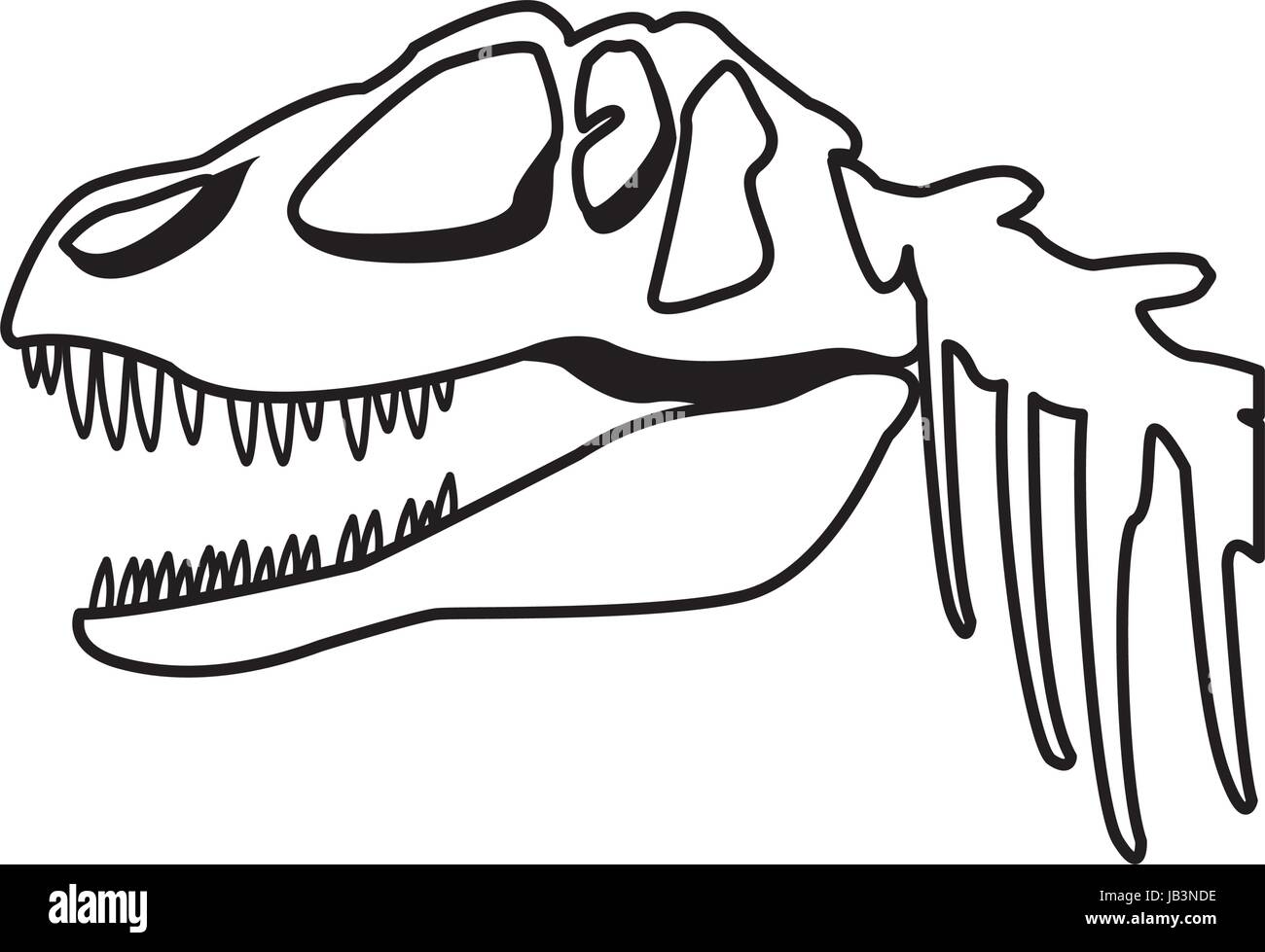 Cabeza de dinosaurio esqueleto fósil de huesos de animales lagarto Imagen  Vector de stock - Alamy