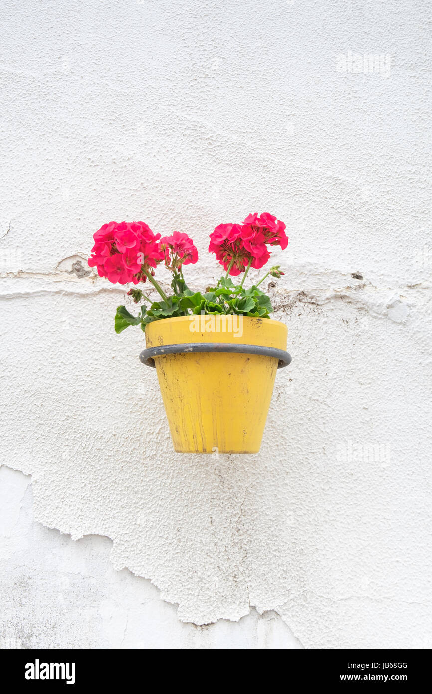 Español tradicional pote de la flor de pared. Foto de stock