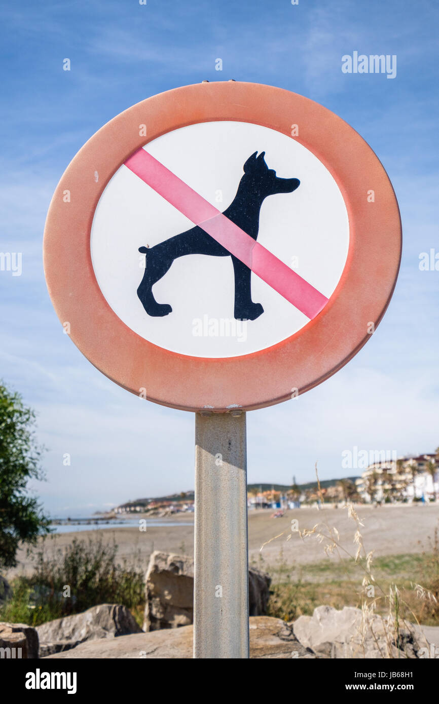 No hay perros cartel en una playa. Foto de stock
