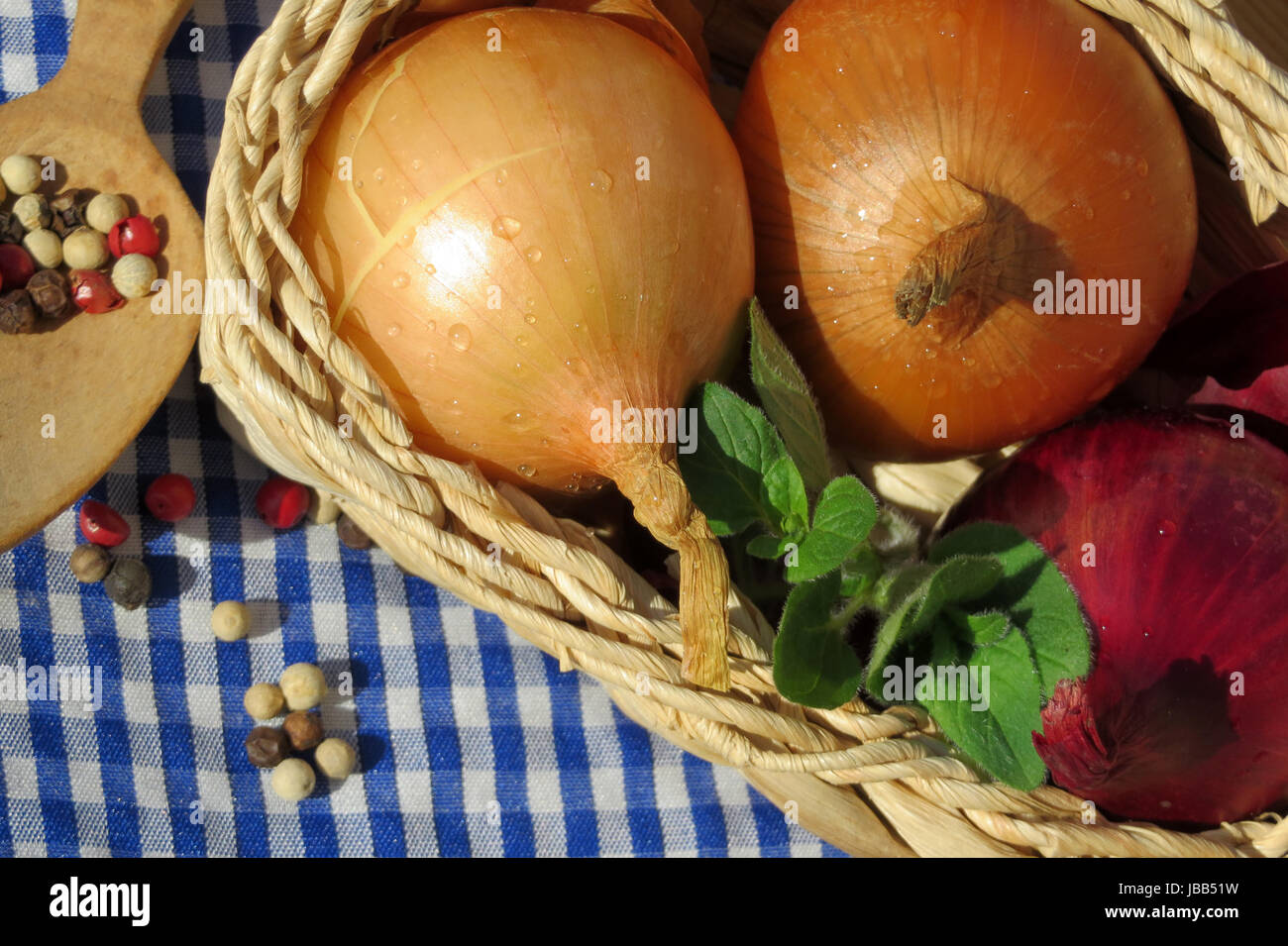 Cebolla (Allium cepa Foto de stock