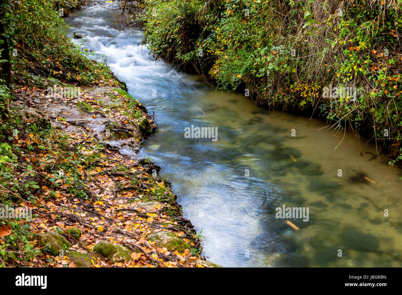 Rio majaceite, el bosque, cádiz, espanha