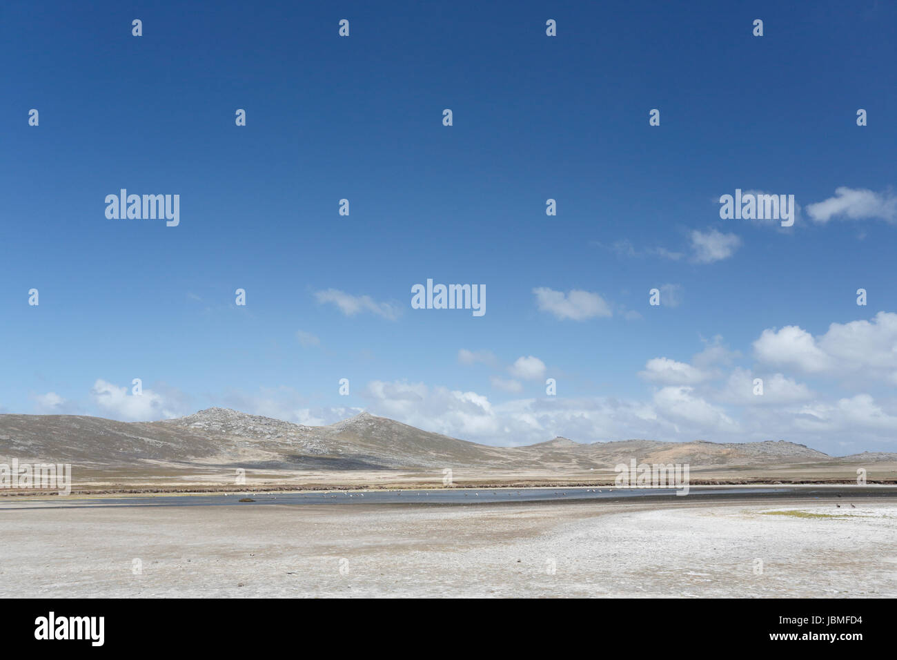Vista de la isla de despojos, Islas Malvinas, mostrando la playa y las