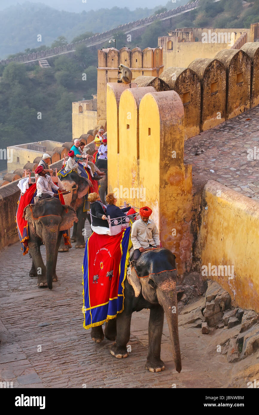 Decorado elefantes va en el camino empedrado a Fuerte Amber, cerca de Jaipur, Rajasthan, India. Los paseos en elefante son atracción turística popular en ámbar Foto de stock