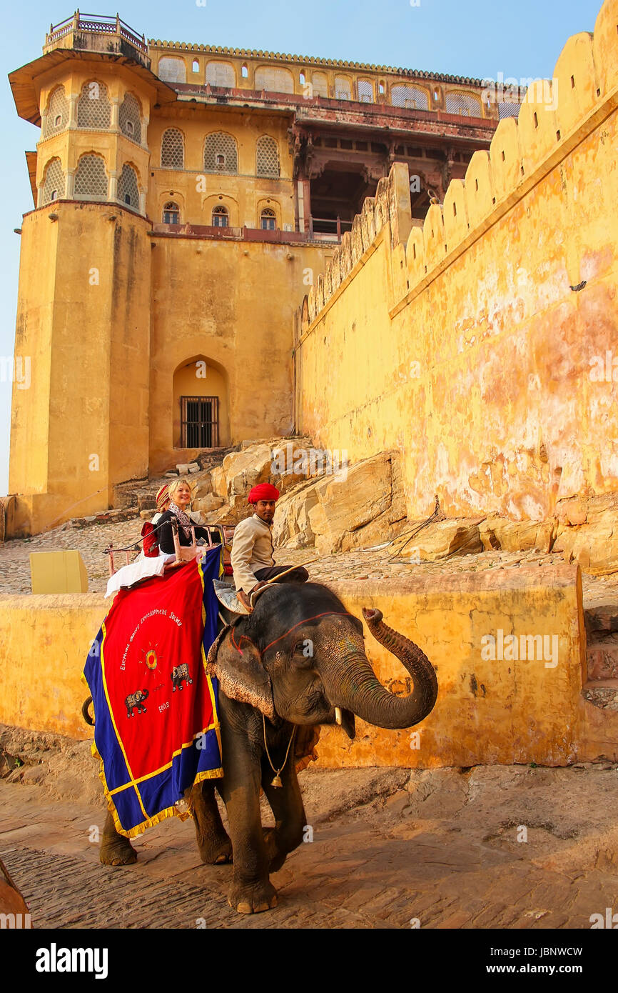 Decorado con elefantes turistas va en el camino empedrado a Fuerte Amber, cerca de Jaipur, Rajasthan, India. Los paseos en elefante son populares atracciones atraer Foto de stock