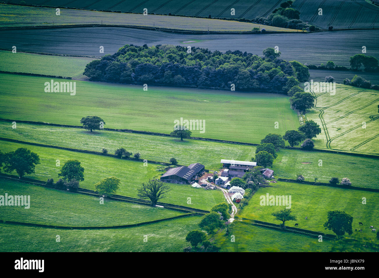 Granja británica entre campos verdes frescas, Aerail ver Foto de stock