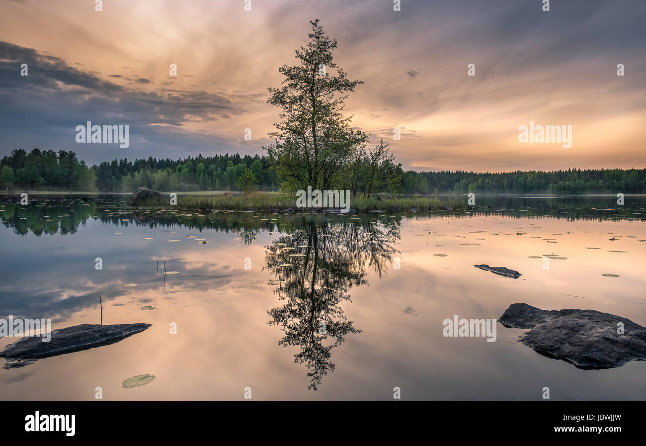 Pintoresco paisaje con pequeña e idílica isla en noche de verano en el Parque Nacional, Liesjärvi, Finlandia Foto de stock