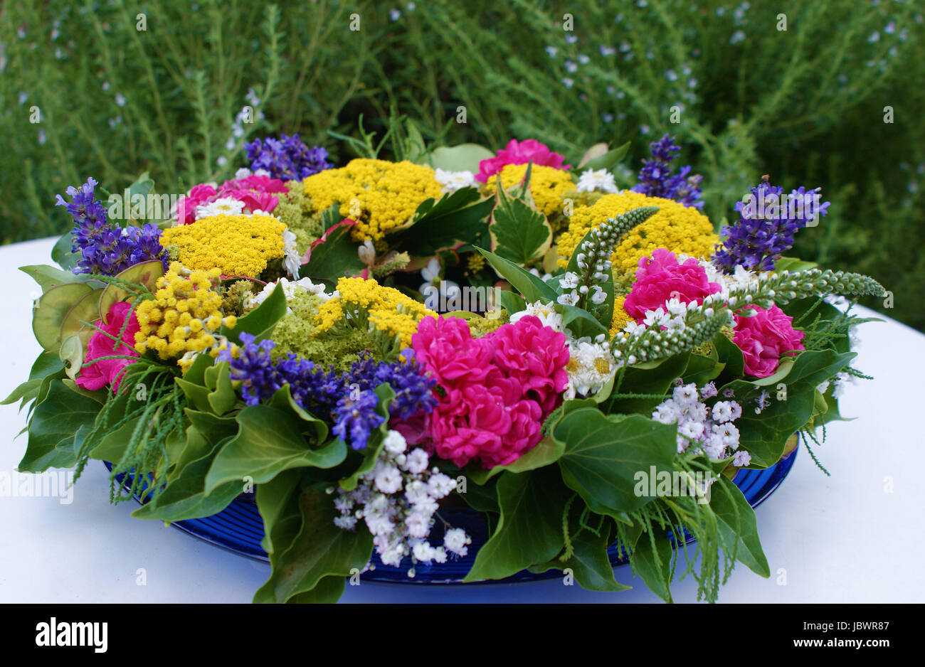 Coloridas flores del jardín Foto de stock