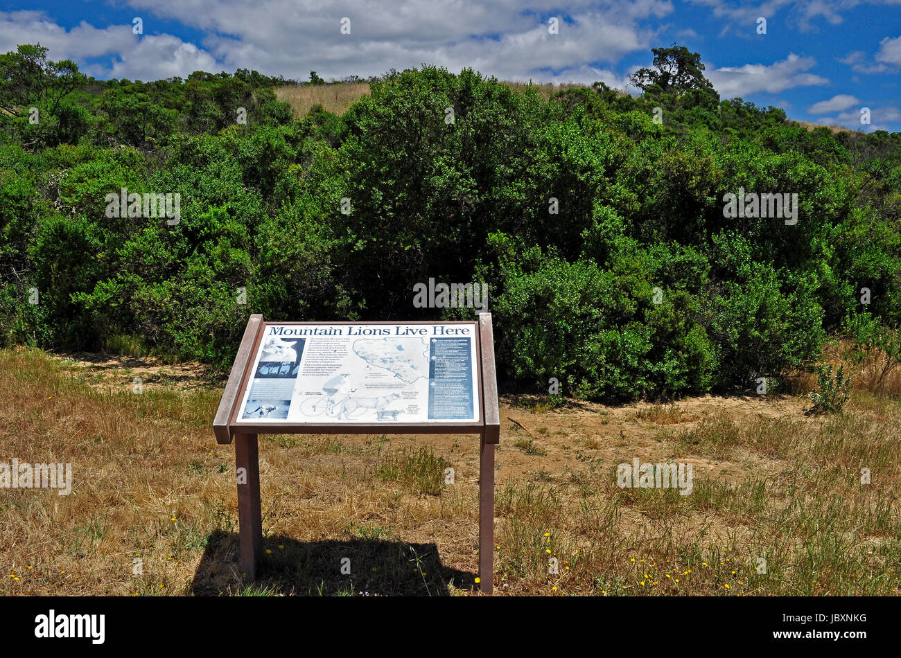 Señal de advertencia de los Leones de montaña, Joseph D. Condado Grant Park, el condado de Santa Clara, California, EE.UU. Foto de stock