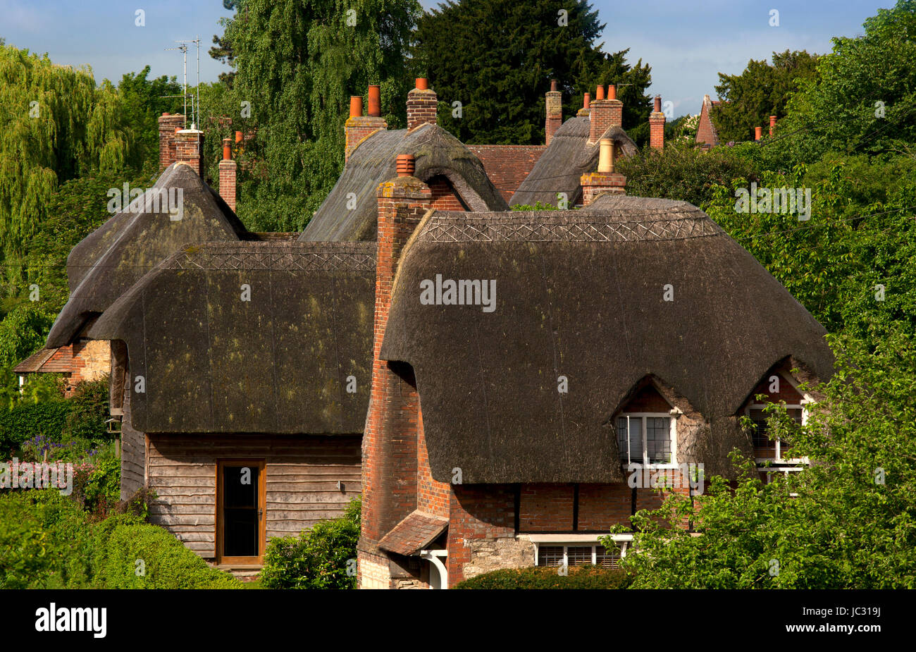 Cabañas con techo de paja en la aldea de Clifton Hamden, Oxfordshire, Inglaterra Foto de stock