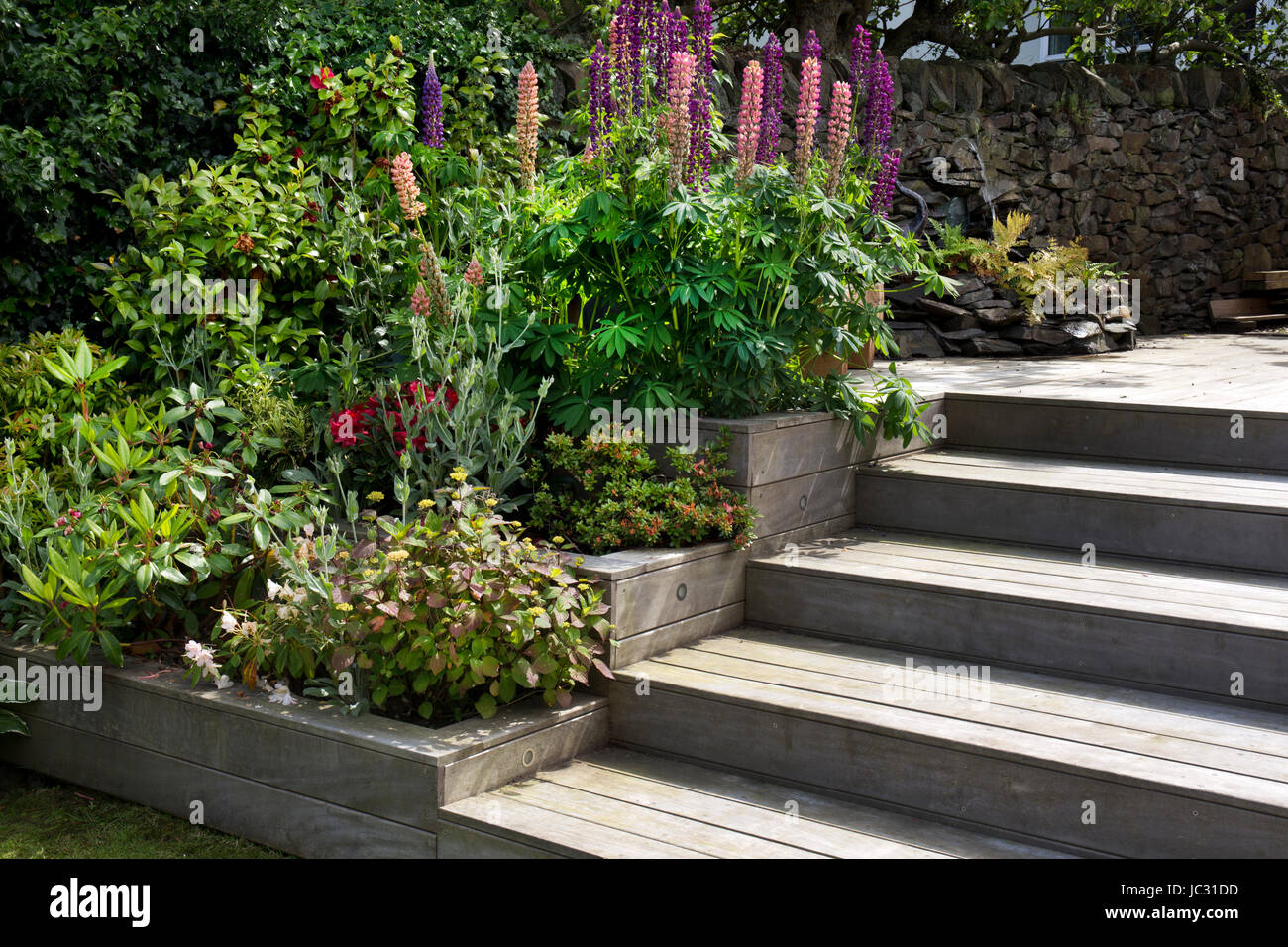 Pasos de madera pintado y bordes escalonados en jardín inglés Foto de stock