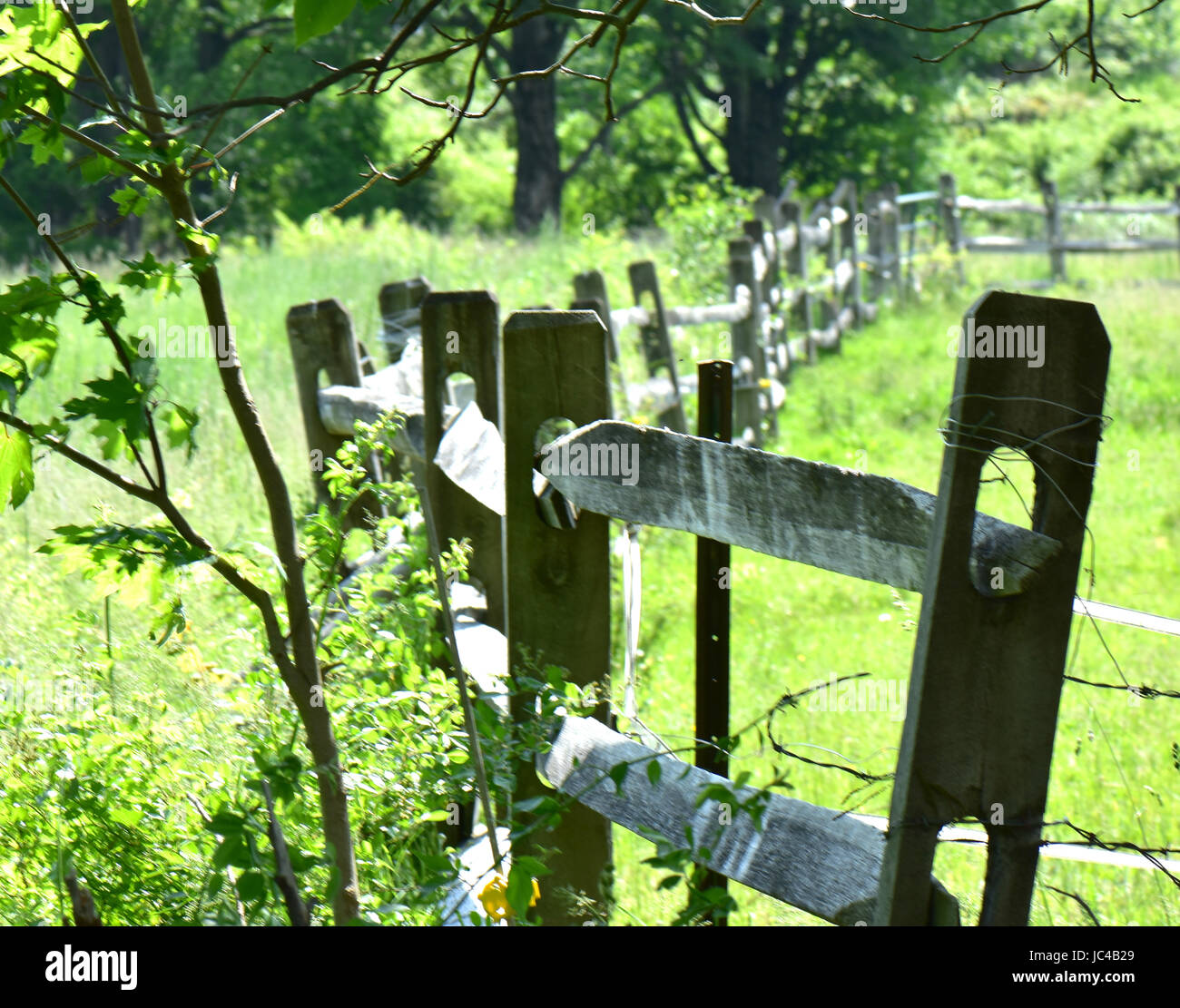 Una valla de madera serpentea a través de una pradera verde en la temporada de verano. Foto de stock