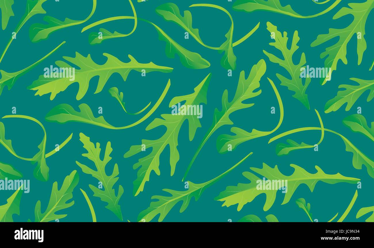 Rúcula o arugula, cohete verde fresco orgánico patrón sin fisuras. Vista superior de vectores de color horizontal closeup hermosa planta vegetariana hierbas rukola natu Ilustración del Vector