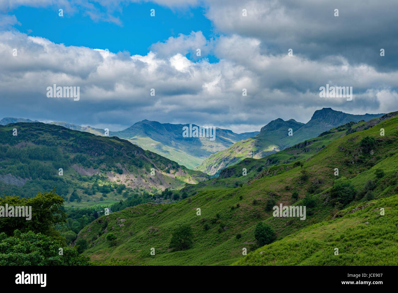 Gran Langdale Valley Lake District National Park Cumbria Foto de stock